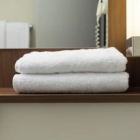 Campanile Nature - Bordeaux Sud Talence 3*